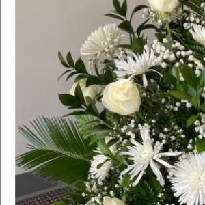 Meet your Posher, Delma